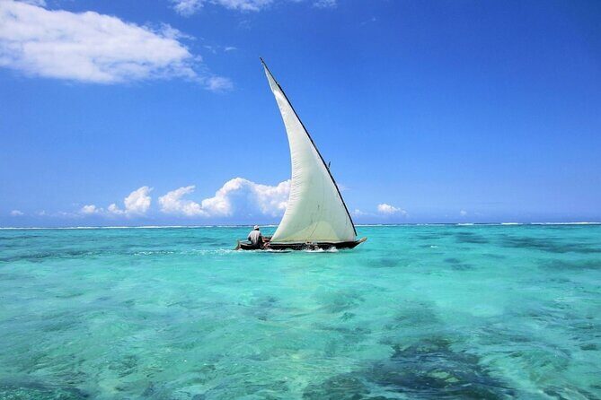 Dolphin Tour & Snorkeling at Mnemba Island - Value and Price: What $240 for Up to Two Gets You