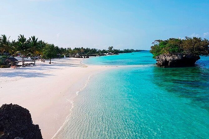 Dolphin Watching Tour & Josani Forest Sea Trip - Zanzibar - Kizimkazi Dolphin Watching: Small Boat Time and the 65% Sighting Odds