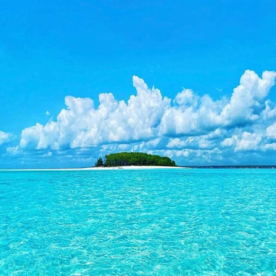 Dolphins & Snorkeling Zanzibar: Mnemba Island Tour - The 4-hour rhythm: pickup to snorkel to get-home energy