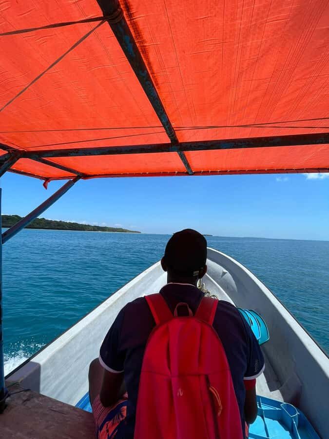 Dolphins tour and turtles swimming in kizimkazi - Who This Tour Fits Best (and Who Might Want a Different Plan)