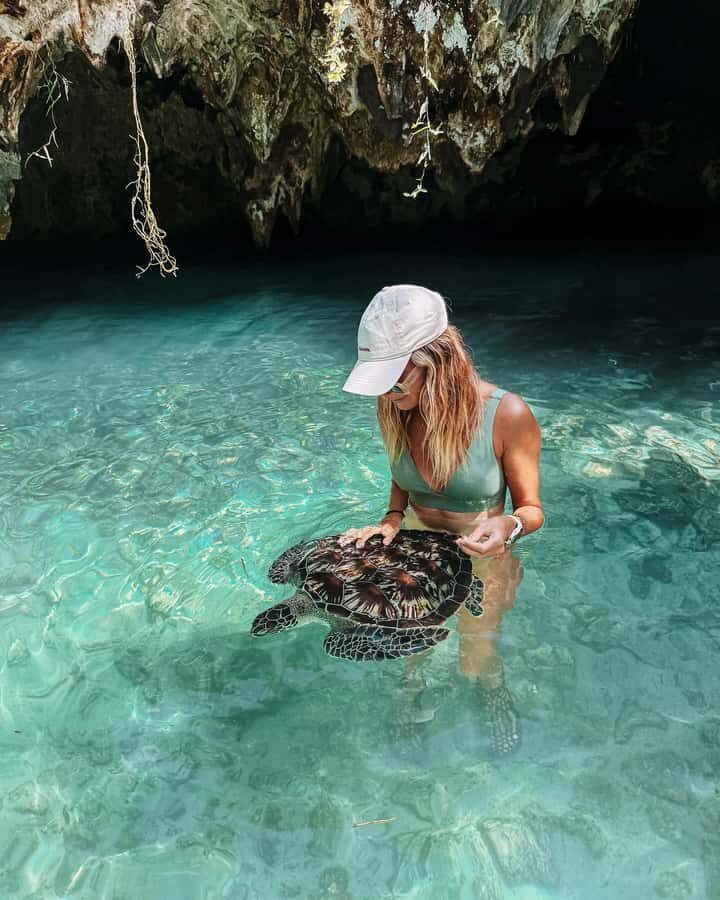 Dolphins tour + mnemba island snorkeling + salaam turles - Why Mnemba Atoll Marine Park is the main event