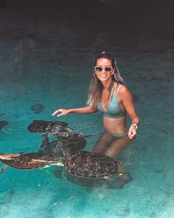 Dolphins tour + mnemba island snorkeling + salaam turles - The dolphin hunt: fun when it’s calm, annoying when it’s crowded