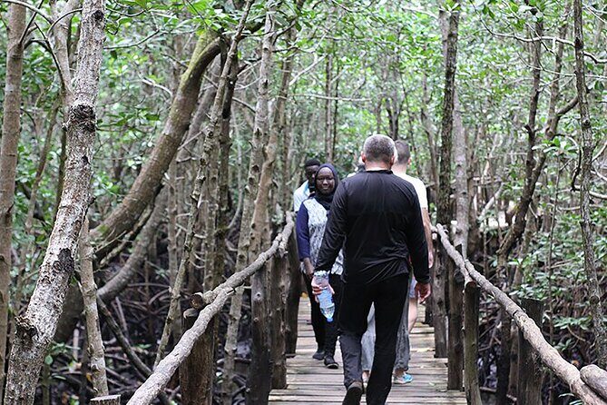Exclusive Full-Day Zanzibar Adventure: Jozani Forest, Hidden Gems - How a 9-hour private day feels in real life