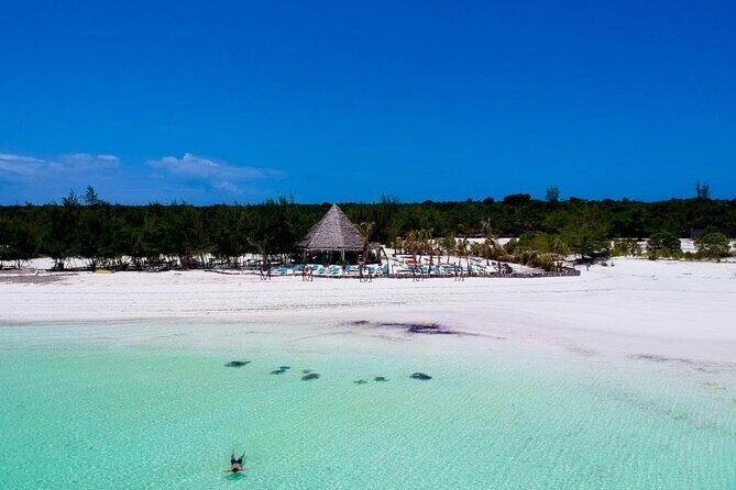 Exclusive Full-Day Zanzibar Adventure: Jozani Forest, Hidden Gems - Guides and organization: what tends to make the day smooth