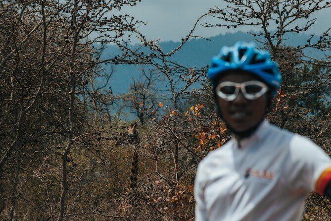 Explore the 360° of Kilimanjaro - Day 3: Enduimet Wildlife Corridor and the Simba Farm Finish
