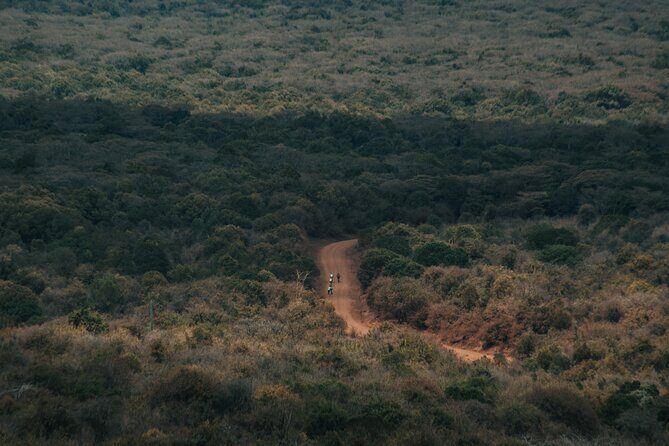 Explore the 360° of Kilimanjaro - Day 1 in Moshi: Getting Bikes Fitted and Rolling Near Town