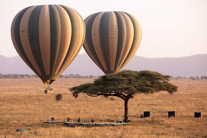 Extraordinary Hot air Bolloon ride in Serengeti | BURIGI CHATO SAFARIS CO L.T.D - Key Highlights You Should Care About