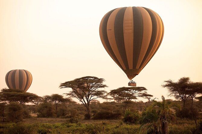 Extraordinary Hot air Bolloon ride in Serengeti | BURIGI CHATO SAFARIS CO L.T.D - Soaring Over Serengeti at First Light (Why Sunrise Matters)