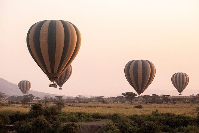 Extraordinary Hot air Bolloon ride in Serengeti | BURIGI CHATO SAFARIS CO L.T.D - Should You Book Burigi Chato Safaris for a Serengeti Balloon?
