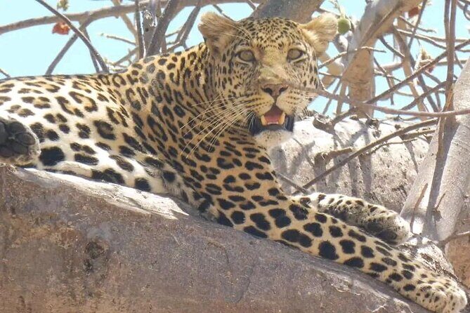 Flight Package Zanzibar to Nyerere National Park (Selous GR) 3 Days 2 Nights - Day 1 in Selous Game Reserve: full-day drive, rest time, and sunset dinner