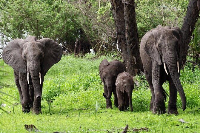 Flight Package Zanzibar to Nyerere National Park (Selous GR) 3 Days 2 Nights - Day 3 Maasai culture and the return via Mtemere Airstrip