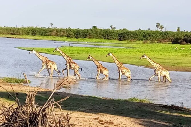 Flight Package Zanzibar to Nyerere National Park (Selous GR) 3 Days 2 Nights - A good fit for you if you want wildlife and culture in the same breath