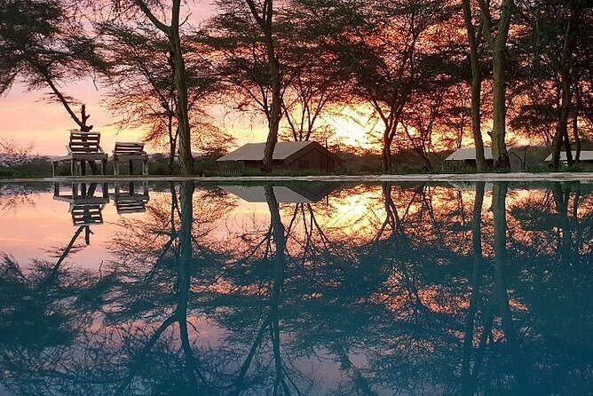 From Arusha: 11 Days famous Serengeti Inside out safari trip - The Big Picture: Why This Route Works for Serengeti Wildlife
