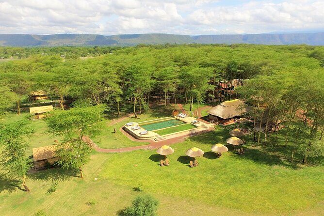 From Arusha: 11 days The Classics Northern Tanzania safari - From Kilimanjaro Airport to Arusha: the easy on-ramp