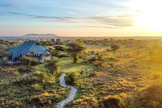From Arusha : 3 Days Private Safari Tarangire N.P and Serengeti - Day 3: Seronera Airstrip flight back to Arusha