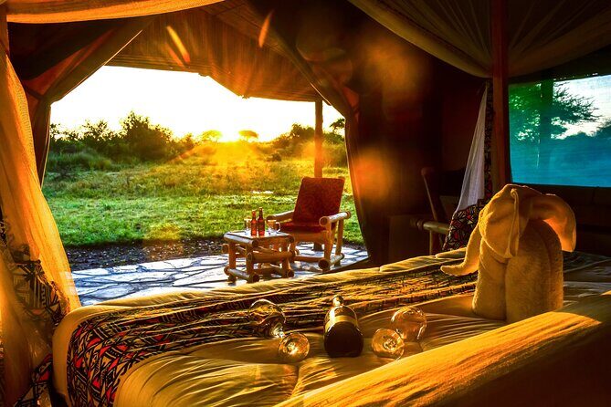 From Arusha : 3 Days Private Safari Tarangire N.P and Serengeti - Overnight near the parks: where you actually reset
