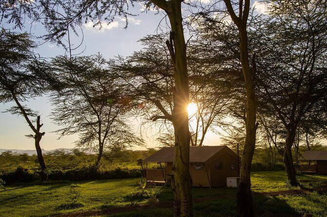 From Arusha: 5 Days Classic Safari Cats, Calves & Crater - Ndutu Lake for Migration and Calving: Where the Action Picks Up