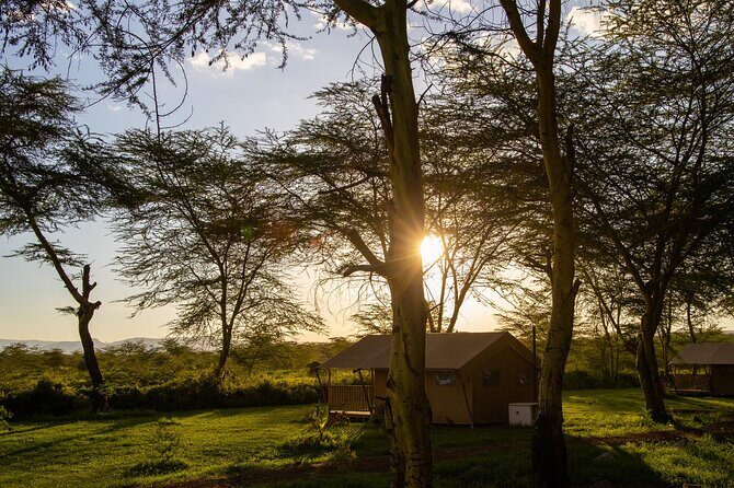 From Arusha: 7-Day Discovery of the real Africa from Lake Manyara - Days 1–2: settling into Africa Safari Lake Manyara (and picking your pace)