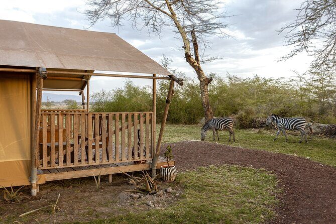 From Arusha: 7 Days Classic Safari Central Northern Circuit - Arusha National Park: Colobus Monkeys and Birding at Mount Meru’s Feet