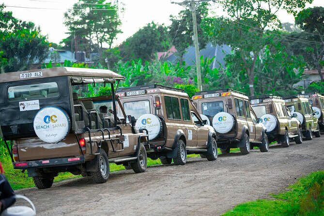 From Arusha: Tarangire and Ngorongoro Crater 3-Day Private Safari - Meals and What You’re Actually Buying in the Price