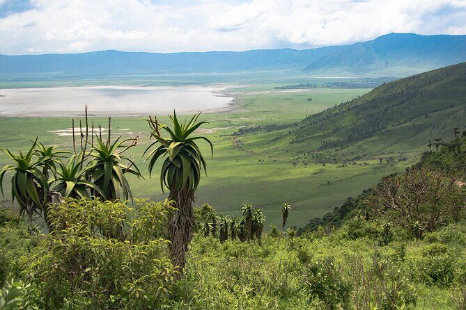 From Arusha: Tarangire and Ngorongoro Crater 3-Day Private Safari - The Real Role of Your Driver-Guide (Safety, Routes, and Animal Explanations)