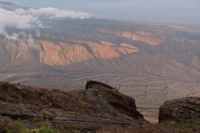 From Arusha to Zanzibar : 11 days From Bush to Beach safari - Lake Manyara National Park: tree-climbing lions and an all-day drive