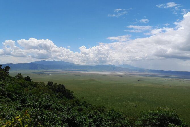 From Arusha to Zanzibar : 11 days From Bush to Beach safari - Zanzibar days 9–10: beaches plus optional spice and underwater-style fun