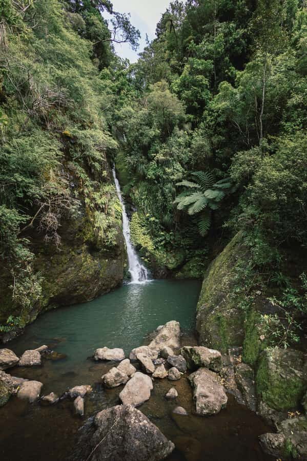 From Dar es Salaam: Mikumi National Park Day Trip - SGR rail and the Dar–Morogoro handoff