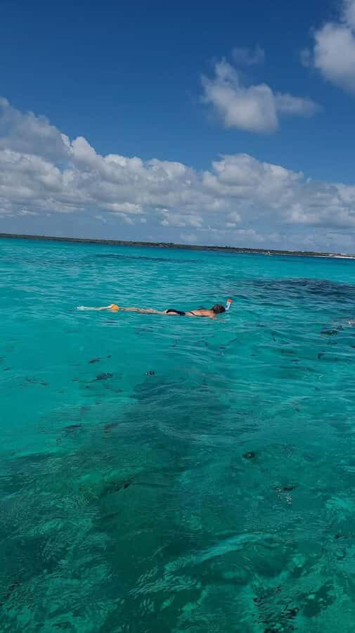 FROM KENDWA; Mnemba snorkelling and Dolphin tour - Price and value: is $45 per person fair?