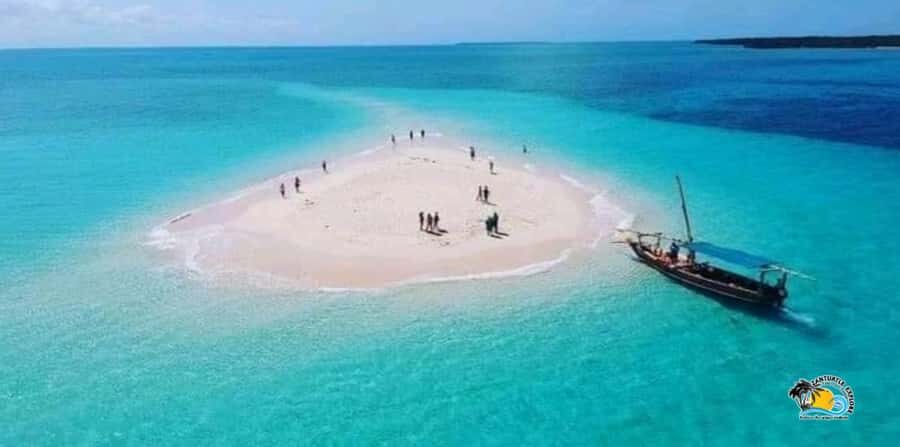 From Kendwa/Nungwi: Mnemba Dolphins with Snorkel Tour - Snorkeling Mnemba Atoll: Coral, Colorful Fish, and Starfish