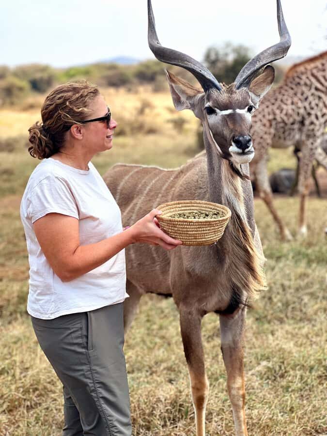 From Moshi or Arusha: Serval Wildlife Sanctuary Trip - Key things to know before you go