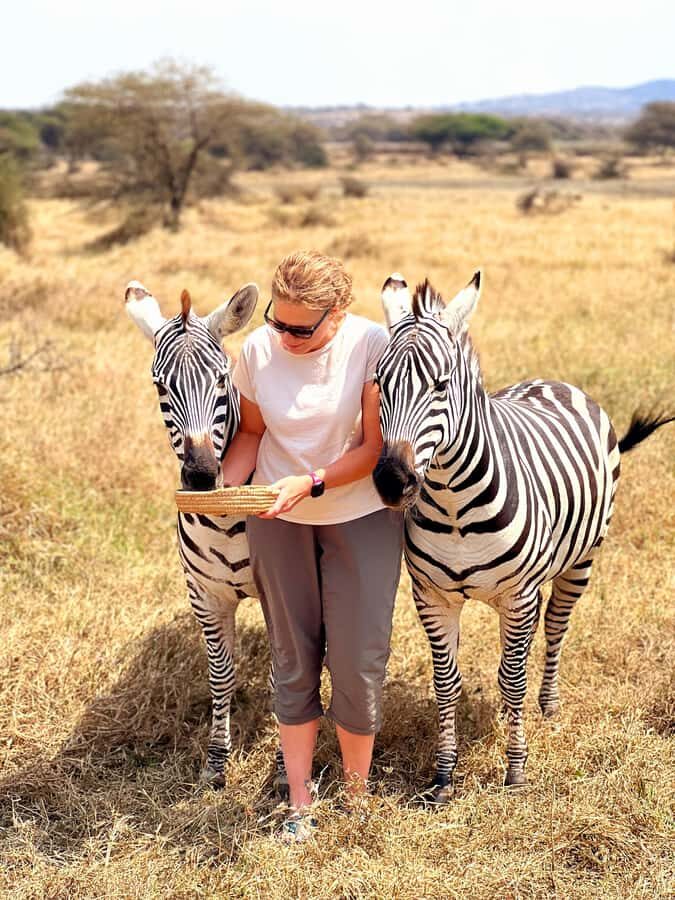From Moshi or Arusha: Serval Wildlife Sanctuary Trip - The one-hour interaction: feeding, petting, and photo rules that matter