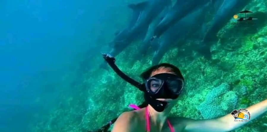 From Nungwi/Kendwa: Mnemba Atoll Starfishes & Dolphins Tour - What to bring (and what to skip)