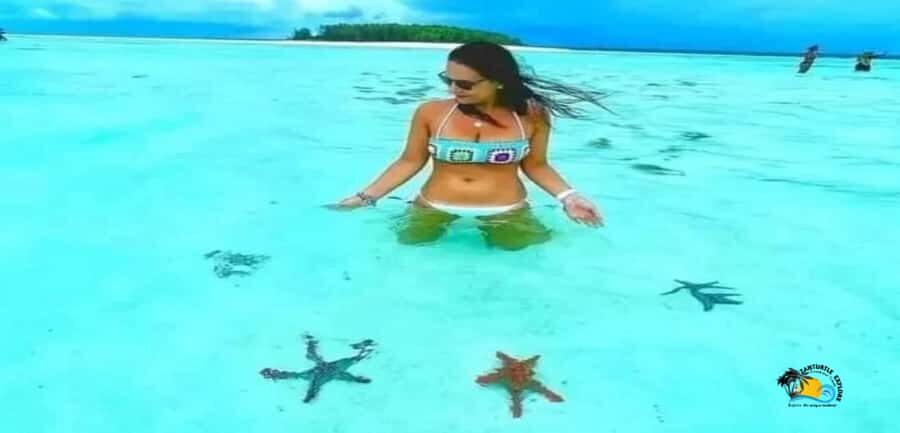 From Nungwi: Mnemba Island Dolphin Watching and Snorkeling - Should you book this tour?