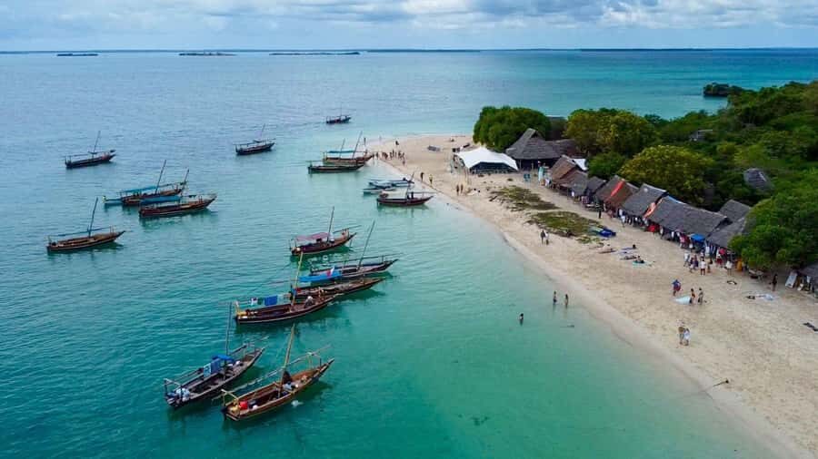 From Nungwi: Safari Blue Snorkeling Tour with Lunch - Dhow sailing into Menai Bay: why this marine reserve matters