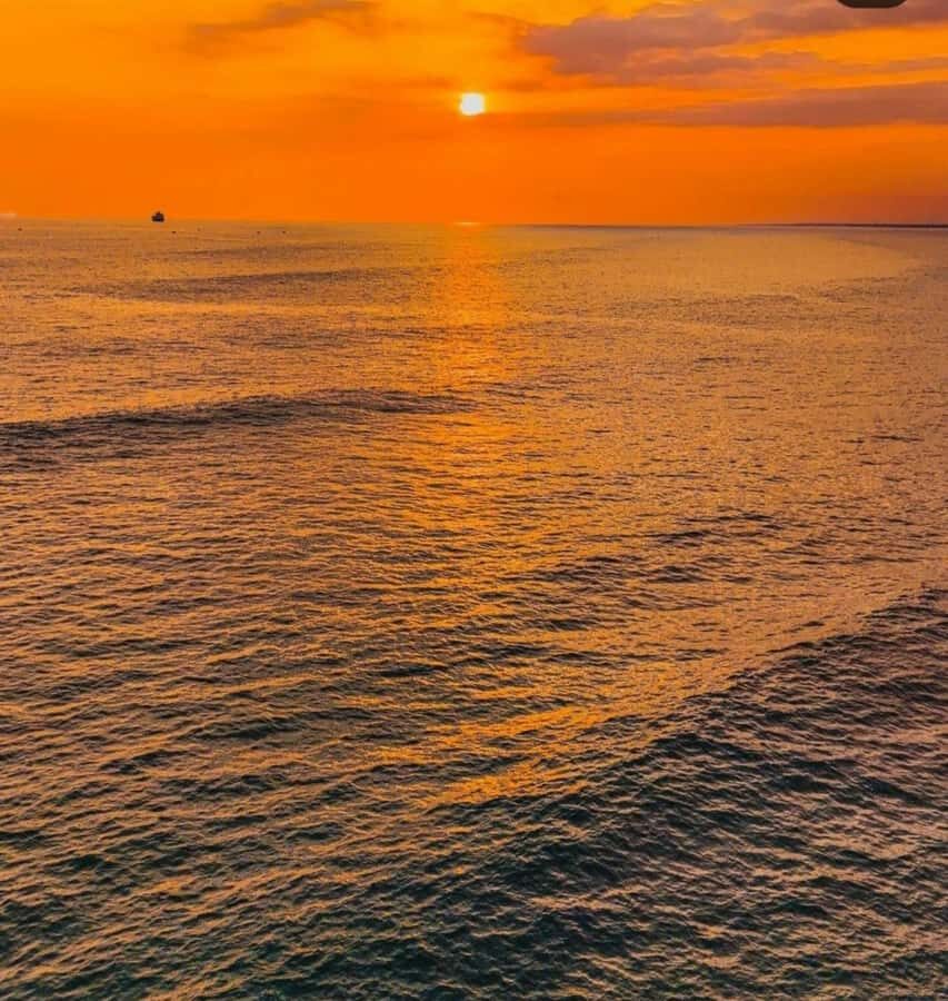 From Nungwi: Sunset Dhow Cruises - Key moments you’ll care about