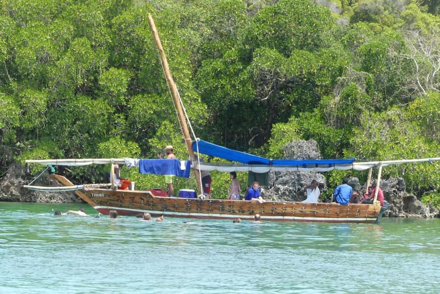 From Stone Town: Sandbank picnic with sea food BBQ Lunch - Guide energy and service: what Ahmad/Ahkmed seems to do well