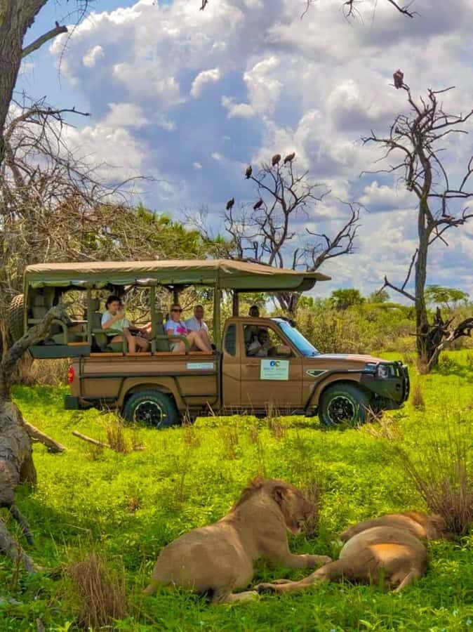 From Zanzibar: 2 Days 1 Night Selous GR Safari with Flights - Price and value: is $905 a fair deal for two days?