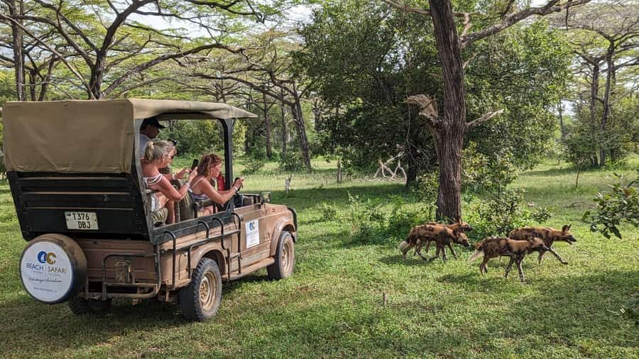 From Zanzibar: 3-Day Selous Safari Trip with Flights - Getting there: Zanzibar to Selous by early flight