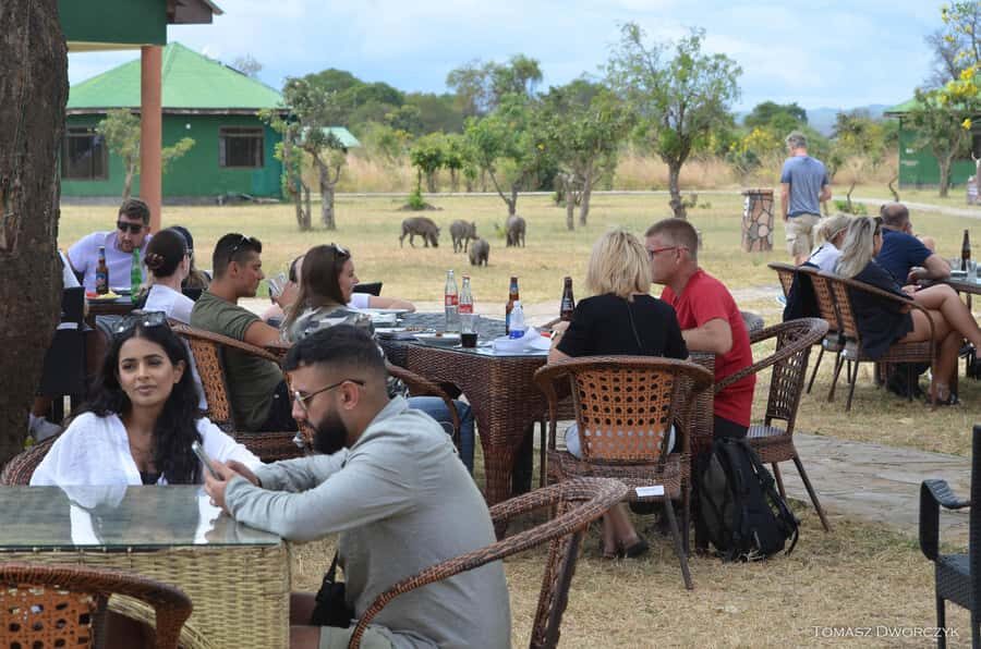 From Zanzibar: day Safari to Mikumi National Park - Key things I’d watch for before you go