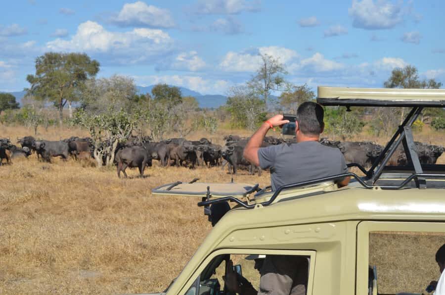 From Zanzibar: day Safari to Mikumi National Park - Day Trip Speedrun: Flying From Zanzibar to Mikumi National Park