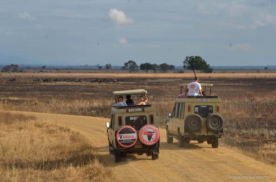 From Zanzibar: day Safari to Mikumi National Park - Mikumi Airstrip at 07:00: Your Transfer Into Safari Mode