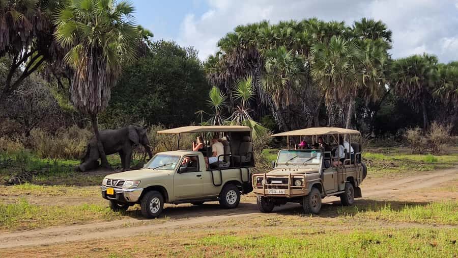 From Zanzibar: Day Safari to Selous Game Reserve with flight - Key Things That Make This Tour Worth Your Time