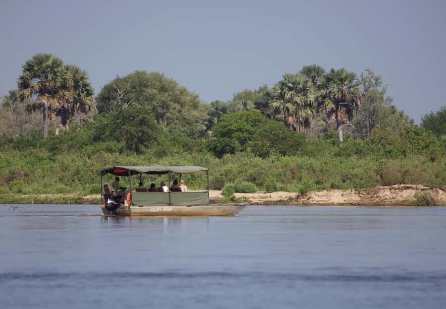 From Zanzibar: Day Safari to Selous Game Reserve with flight - Lunch on Safari Time: Picnic Format and a Real Break