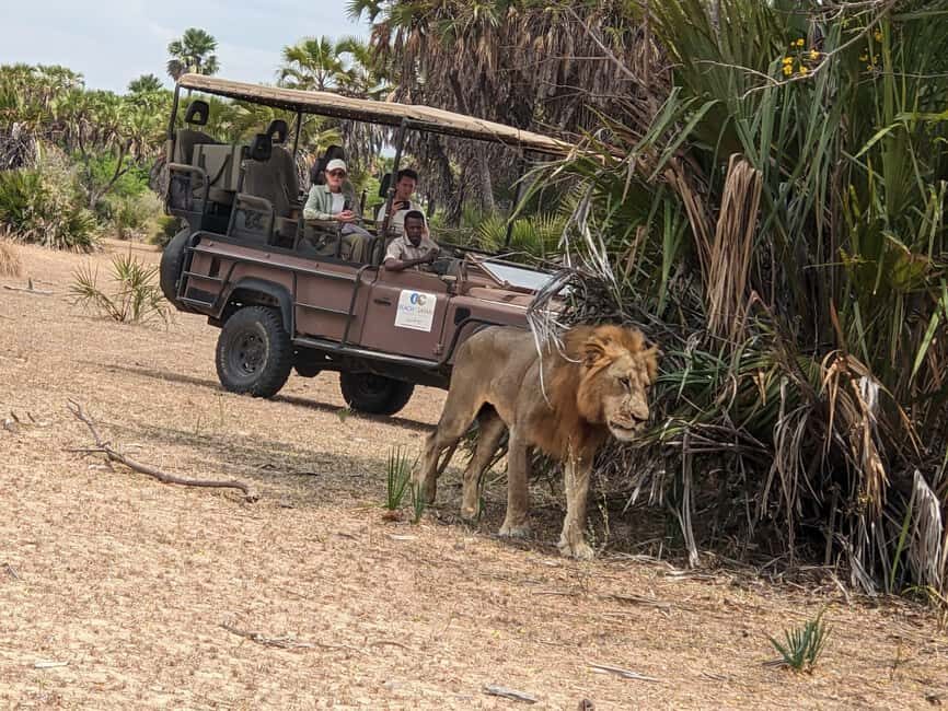 From Zanzibar: Mikumi Day Safari without hotel pickup - Price and value: what $455 covers (and what it doesn’t)