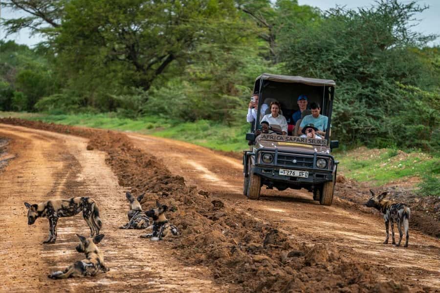 From Zanzibar: Mikumi Day Trip Safari By Flight. - Why Take a Flight to Mikumi in One Day?