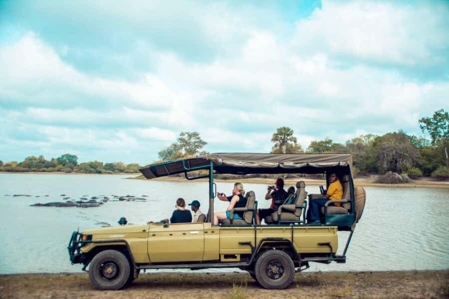 From Zanzibar: Mikumi Day Trip Safari By Flight. - Mikumi Game Drive Time: Lions, Elephants, and the Chances That Count