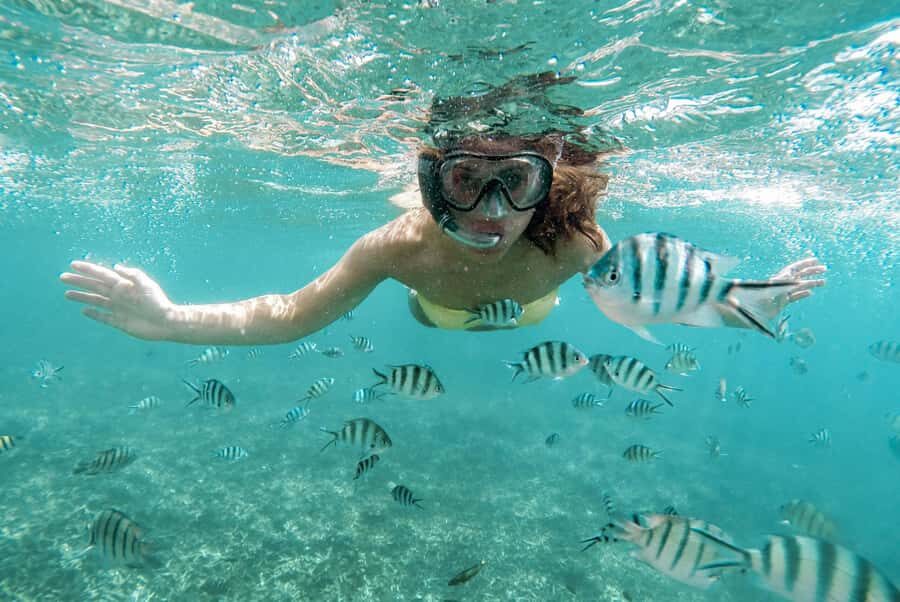 From Zanzibar: Mnemba Boat Tour with Snorkeling & Dolphine - Mnemba Boat Tour from Nungwi: what you’re actually buying