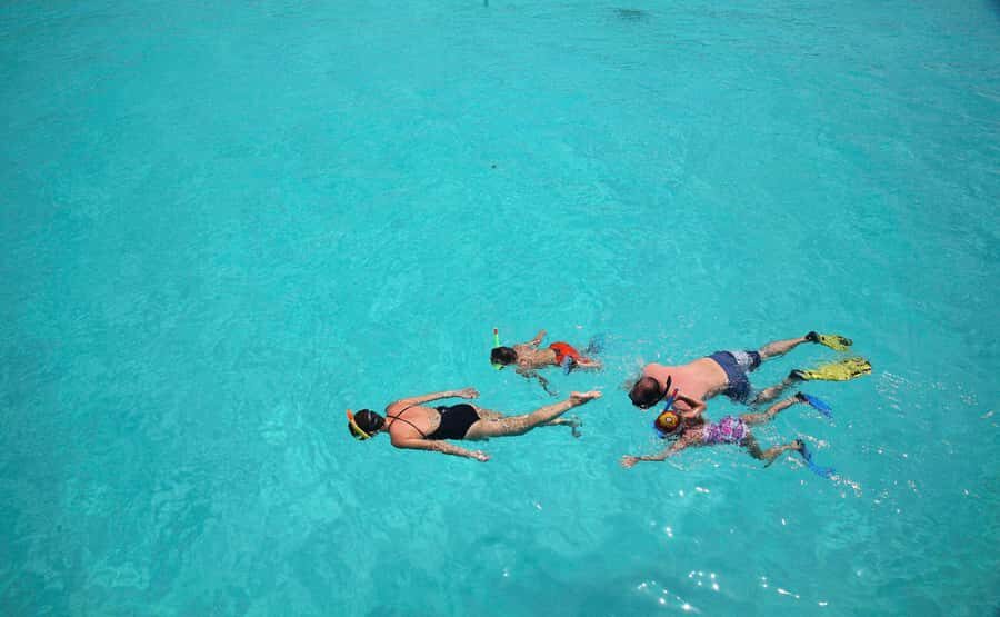 From Zanzibar: Mnemba Boat Tour with Snorkeling & Dolphine - Swimming ability and how the crew handles it