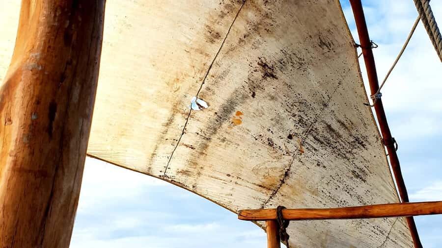 From Zanzibar: Mnemba Boat Trip Dolphins Adventure trip - Zanzibar to Mnemba: the 7h00 pickup that sets the tone